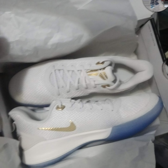 Mamba focus - Picture 1 of 4